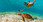 Photo U.S. Virgin Islands - America with a Caribbean flavor