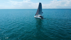C-Cat 38