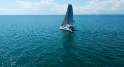 C-Cat 38