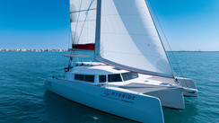 Neel 43 Hybrid