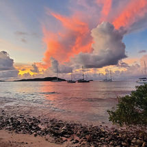 Kookaburra - A Winter in the Caribbean