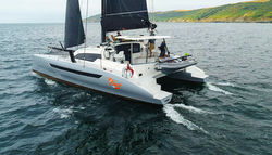 Dazcat 1295