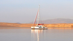 A new network called Multicats-International