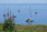 Photo South Brittany