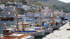 Hydra