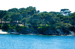 Hyères and its Îles d’or
