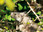 Photo Guadeloupe