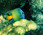 Photo The Venezuelan islands