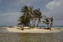 San Blas, the coral paradise