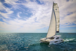 Leopard 40 (2015)