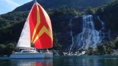 Balticat 43