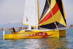 Bms 33
