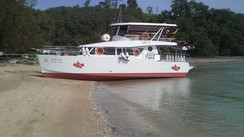 Catathai 45 Ha Sip Ha Sip Power