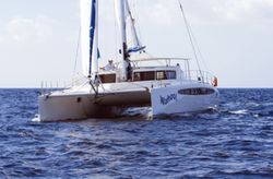 Dolphin 460