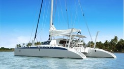Catamaran with Dolphin Catamaran with Dolphin