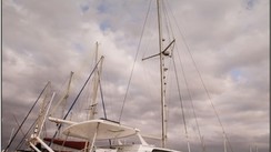Fastcat 455 Gm