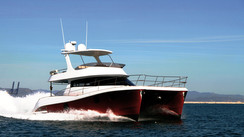 Flash Cat 44