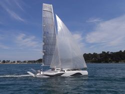 Tricat 25 Evolution