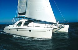 Privilege 37