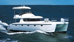 Tortuga 42