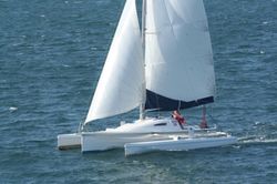 Tricat 25