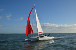 Astus 24