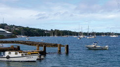 Ylang Ylang in Tonga