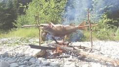 Milo One: Discovering Alaska 