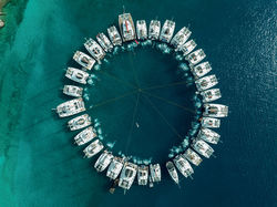 Catamaranscup
