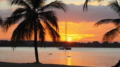 The tropical Sri Lanka