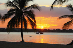 The tropical Sri Lanka