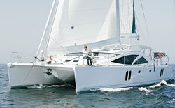 Discovery 50 Cat
