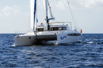 Catamaran with Dolphin Catamaran with Dolphin
