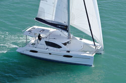 Leopard 39