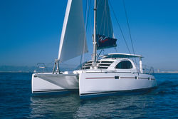 Leopard 40