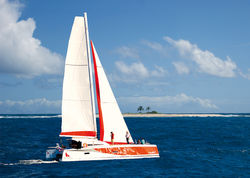 Ts 42