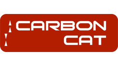 Carbon Cat