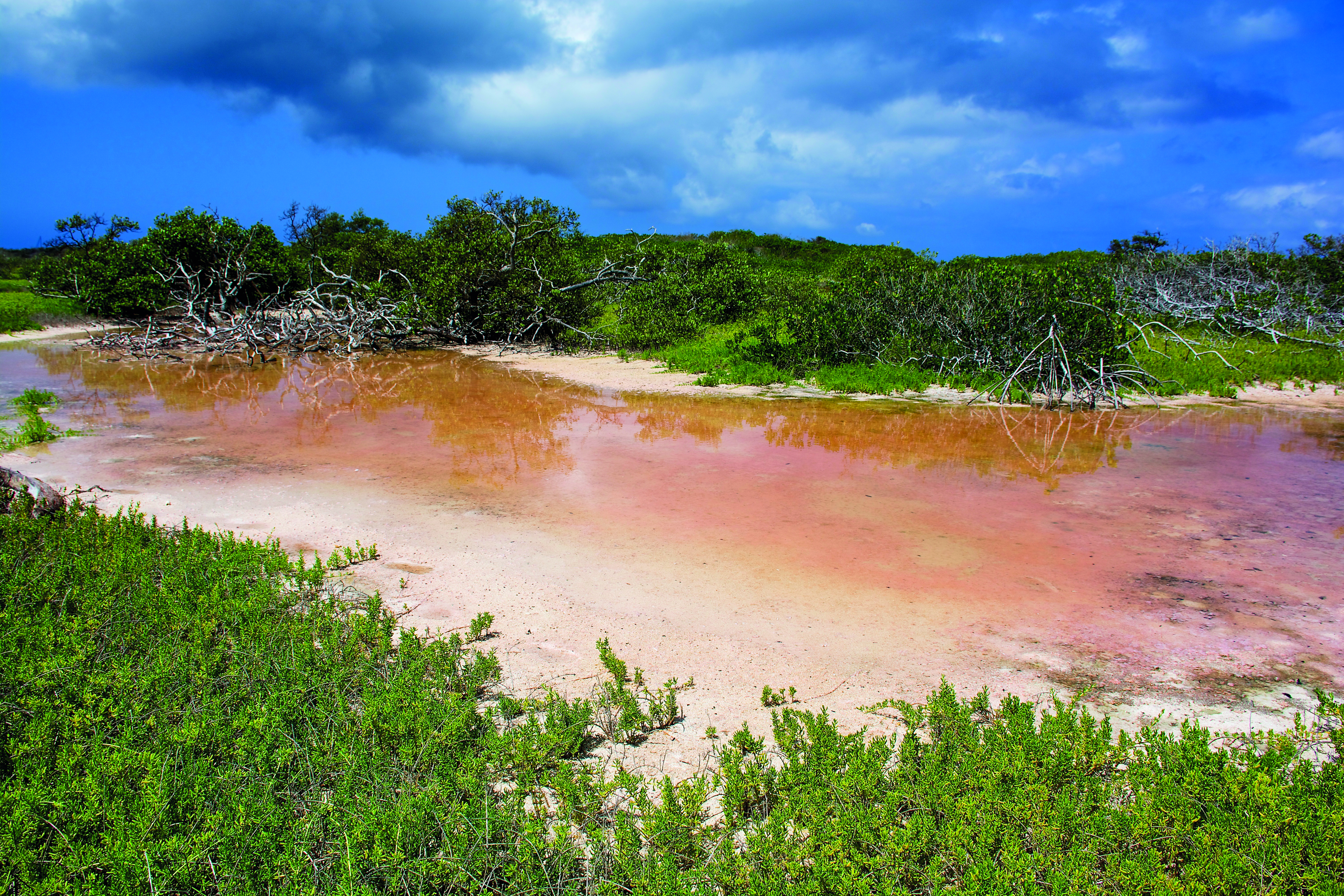 At the heart of one of the two islands lies a strangely-colored lake.