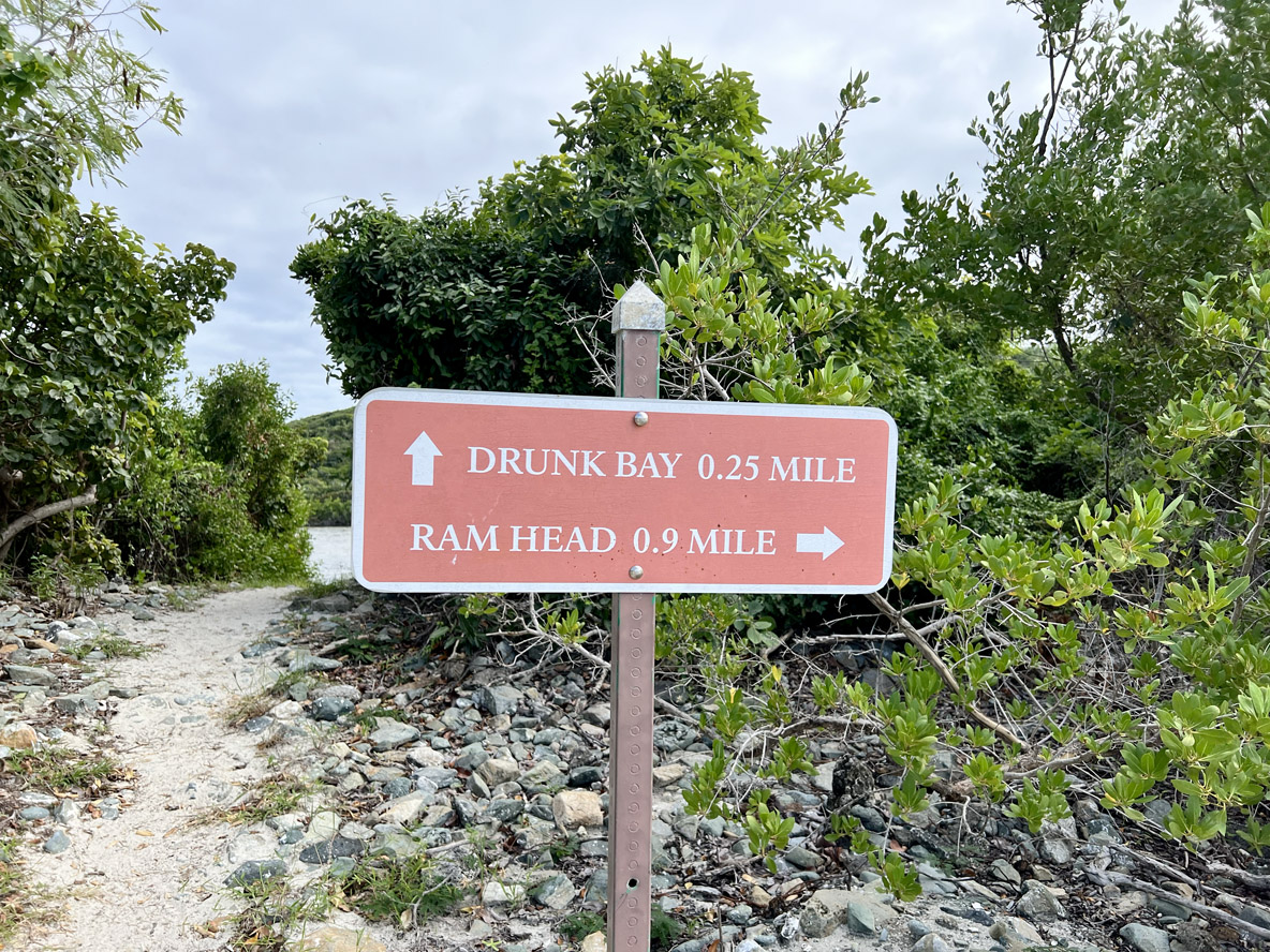 Numerous trails, often accessible from the beach, allow you to stretch your legs and enjoy the vegetation and the panorama.